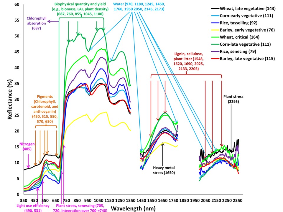 Figure 2: Overview of crop stages & reflectance, with key areas highlighted `[5]`