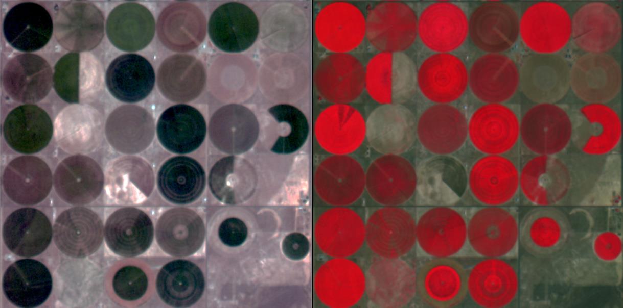 Side-by-side comparison of a Dragonette scene rendered in True Color RGB and Color Infrared