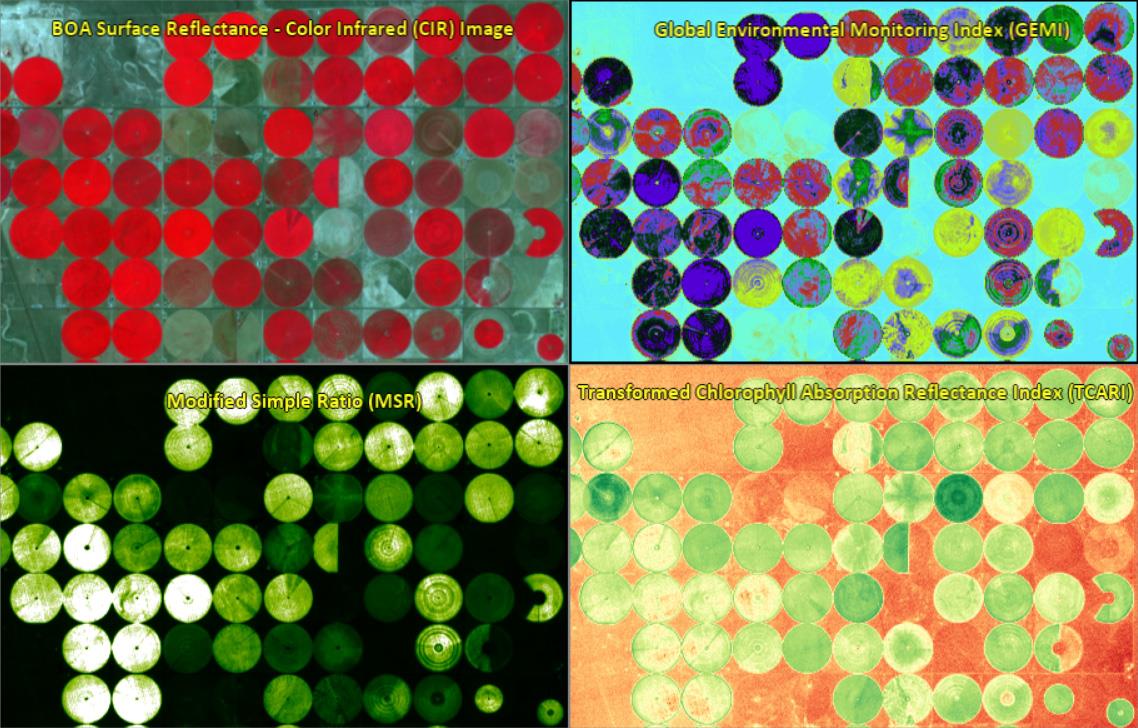 Several spectral index rasters displayed with different colour tables applied