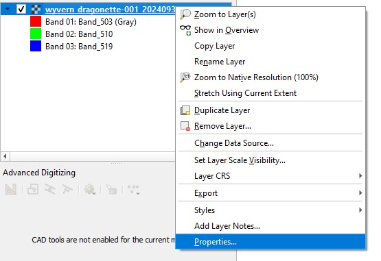 Selecting Layer Properties