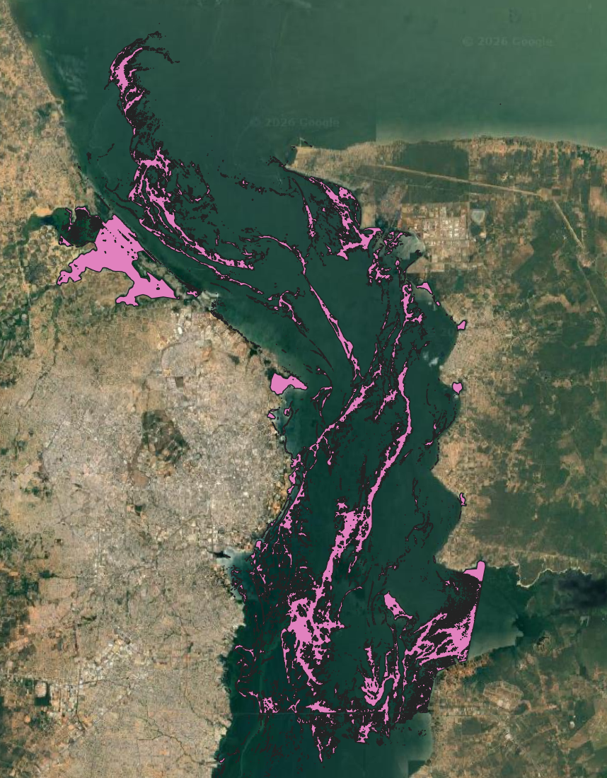 High chlorophyll areas in QGIS :size=900 High chlorophyll areas exported as GeoJSON and loaded into QGIS over a Google Satellite basemap.