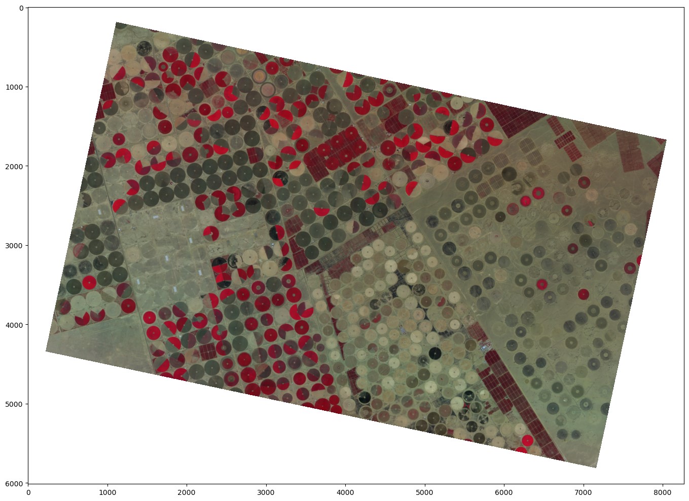 Output color infrared image from the Python notebook