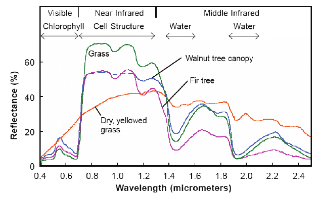 Figure 4: Example of hyperspectral reflectance curves for various vegetation [3]