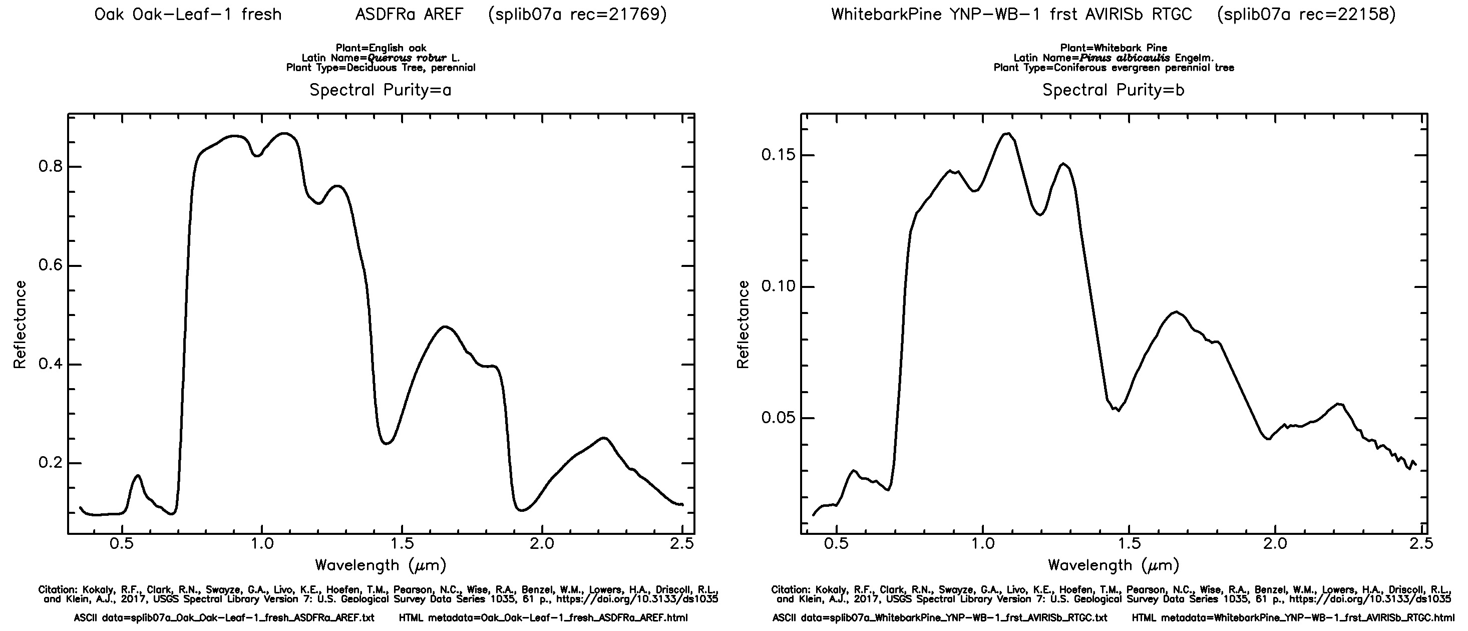 Example of reflectance signatures of Whitebark Pine and English Oak. Their curves are similar, but distinctly different.